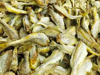 小黃魚真空油炸機