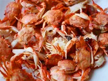 螃蟹真空油炸機